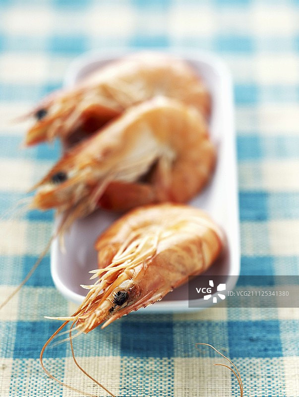 对虾图片素材