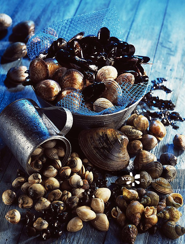什锦贝类海鲜图片素材