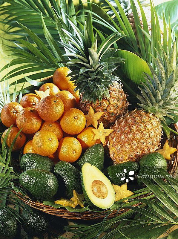 异国水果构图图片素材