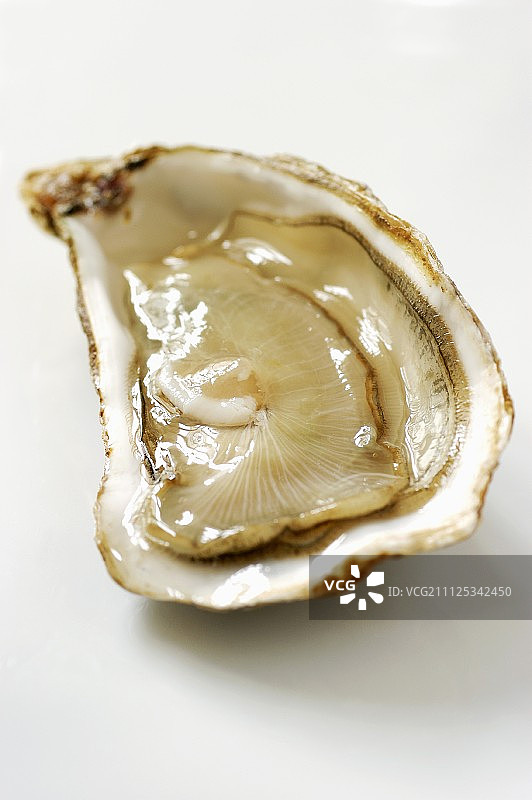 牡蛎图片素材