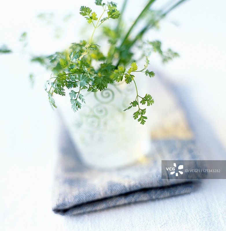 玻璃器皿中的新鲜香草图片素材