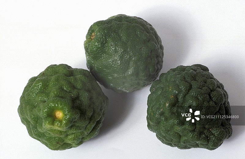 亚洲卡菲尔酸橙图片素材