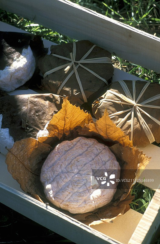 巴农羊奶酪图片素材