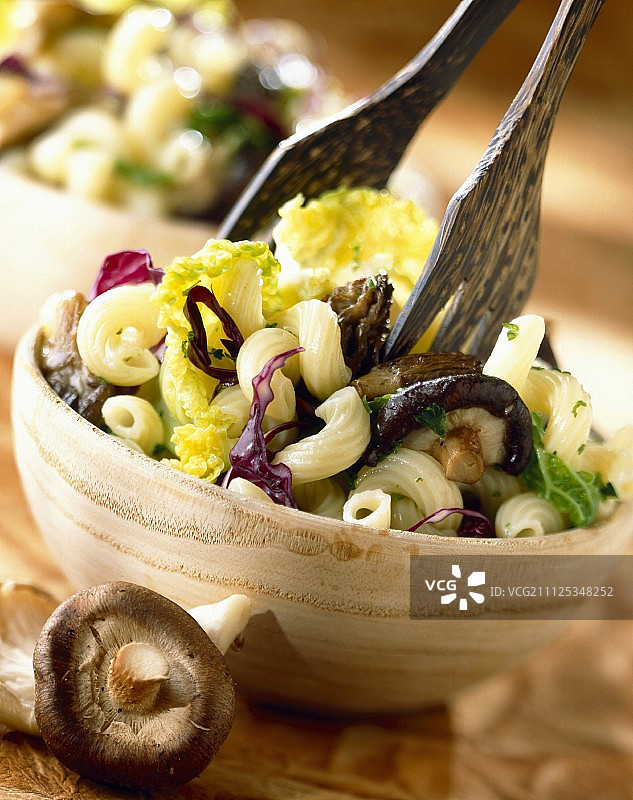 卡瓦塔皮意大利面配卷心菜和蘑菇图片素材