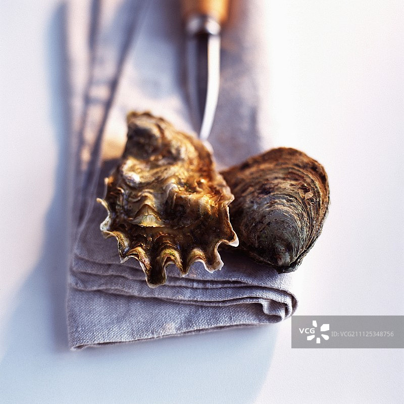 牡蛎、刀和茶巾图片素材