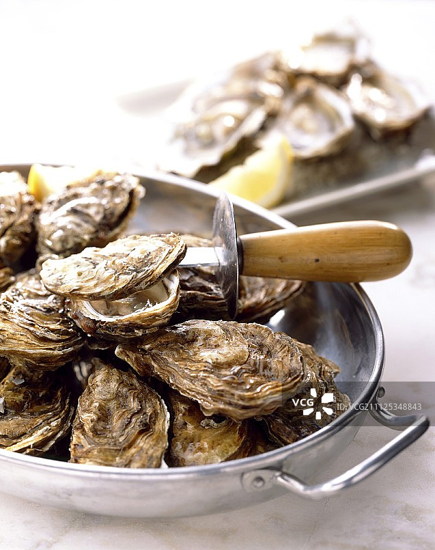 牡蛎图片素材