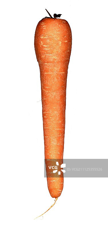 胡萝卜图片素材