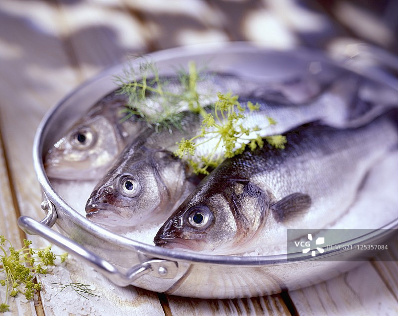 粗海盐中的鲈鱼图片素材