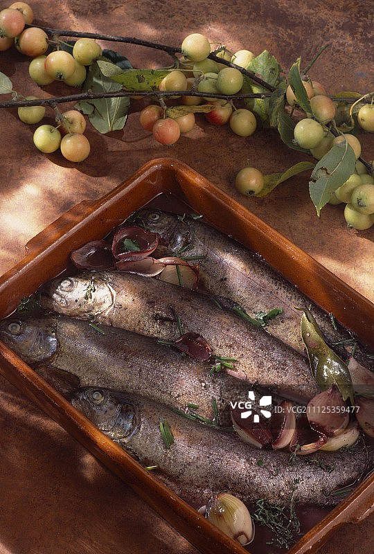 腌制鳟鱼图片素材