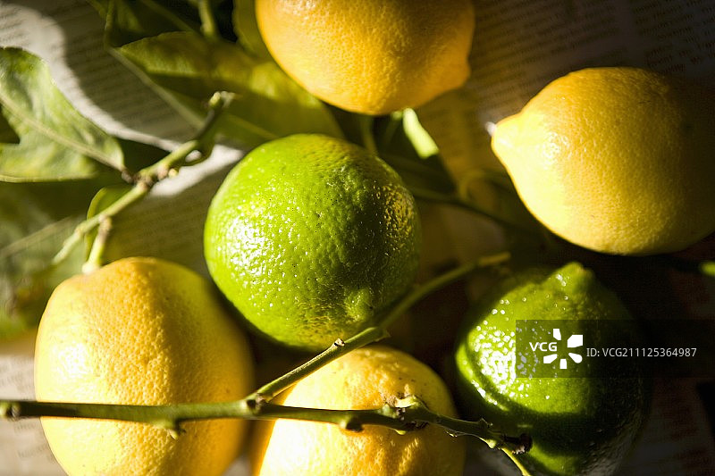 柠檬和酸橙图片素材