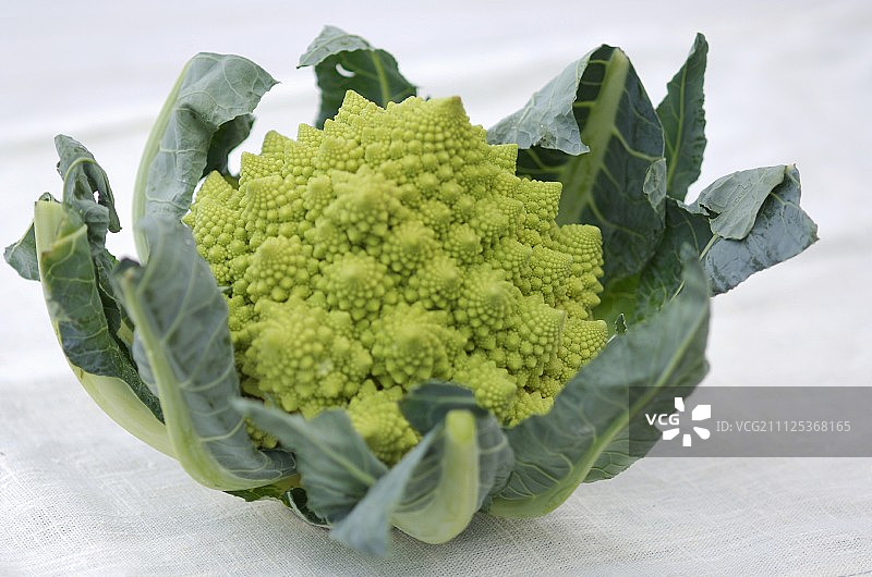 宝塔甘蓝图片素材