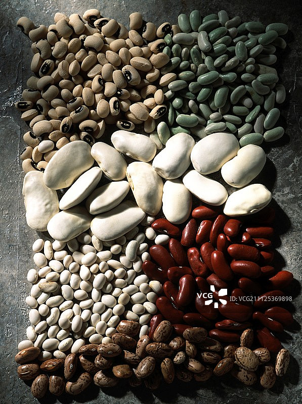 干贝壳豆的选择图片素材