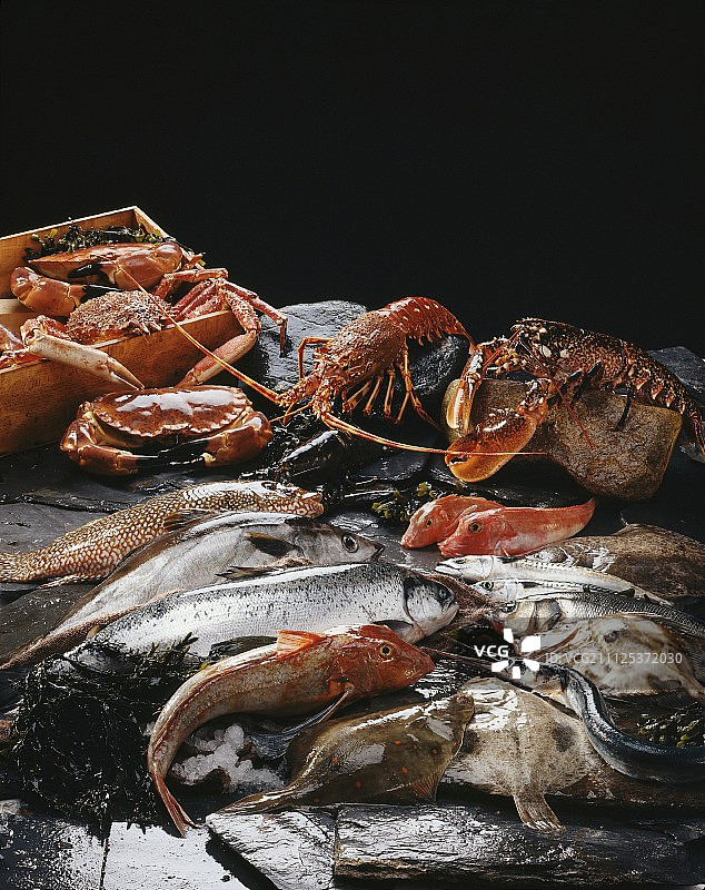 什锦海鲜贝类图片素材