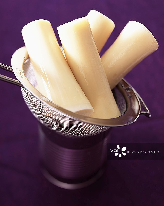 棕榈心（主题：棕榈心）图片素材