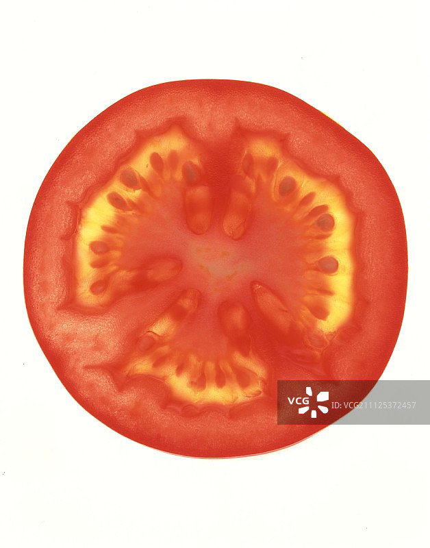 圆形番茄片图片素材