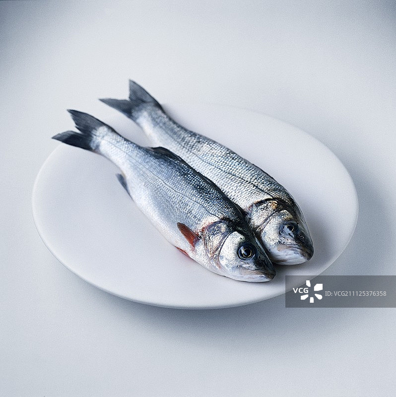 盘中两条欧洲鲈鱼图片素材