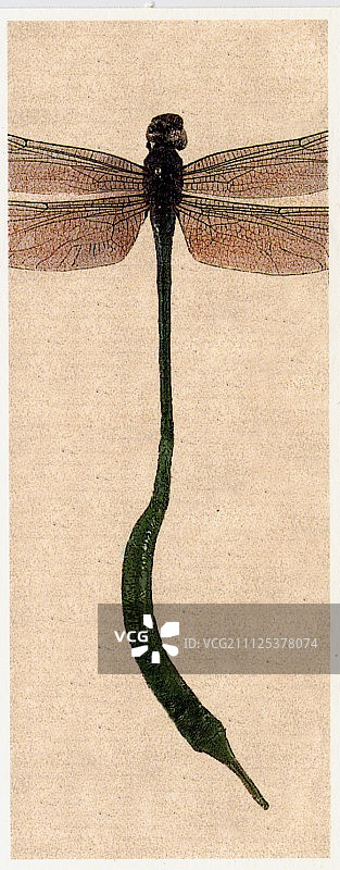 转基因图片素材