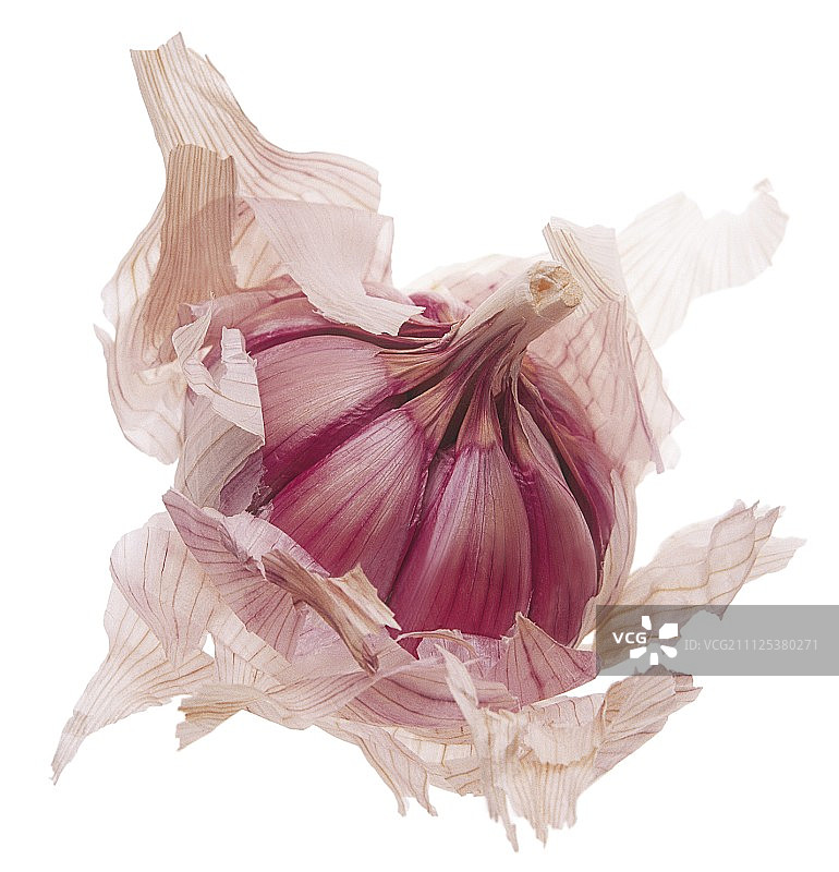 大蒜图片素材