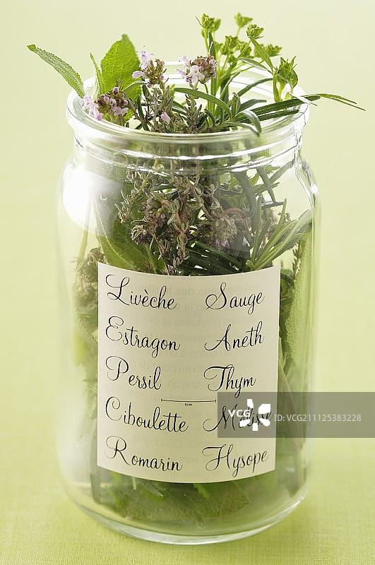 新鲜香草罐图片素材