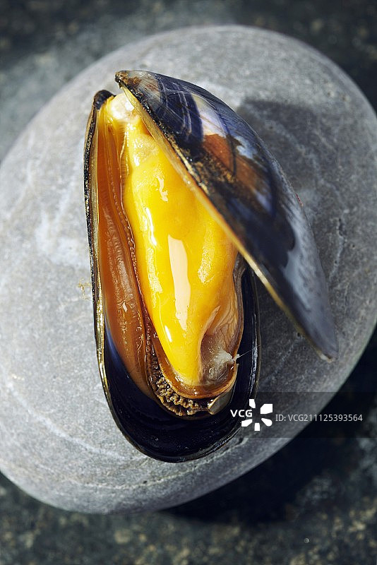 打开的贻贝图片素材