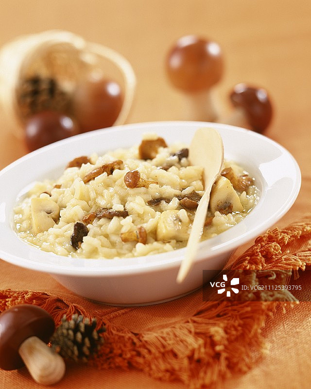 蘑菇烩饭图片素材