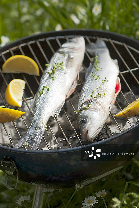 烧烤鲈鱼图片素材