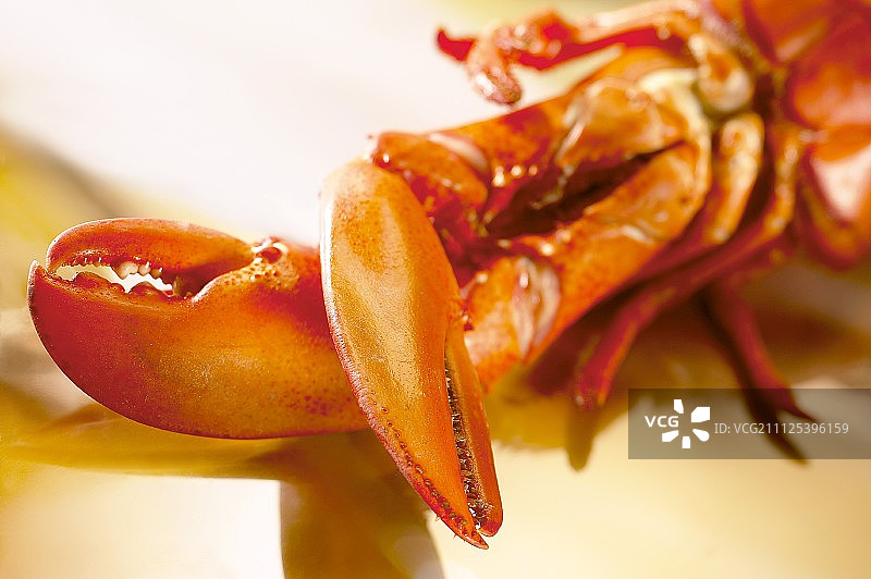 龙虾图片素材