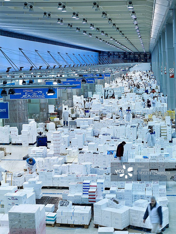 鱼类批发图片素材