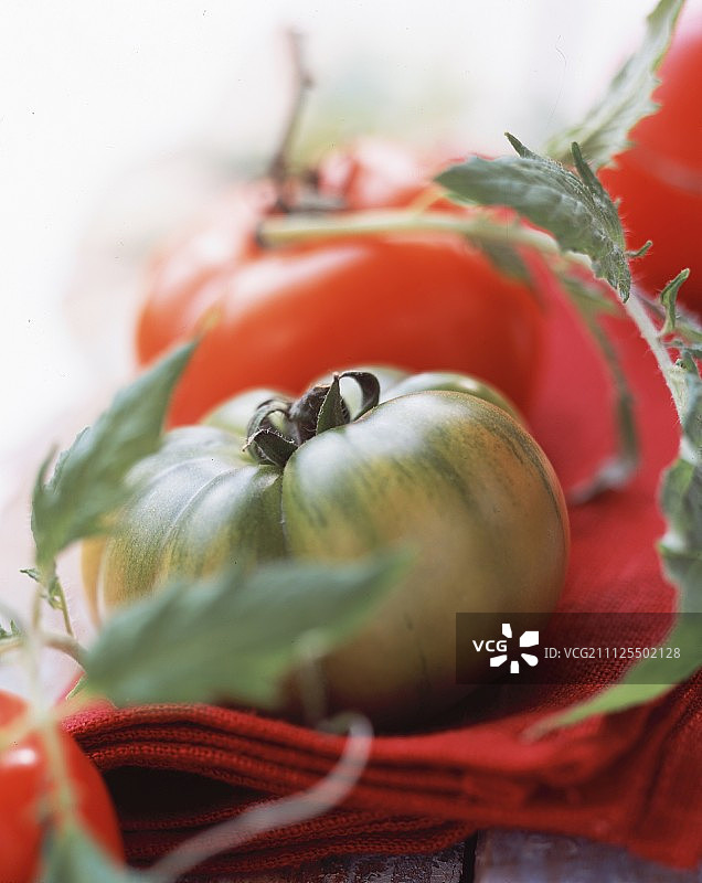 番茄图片素材