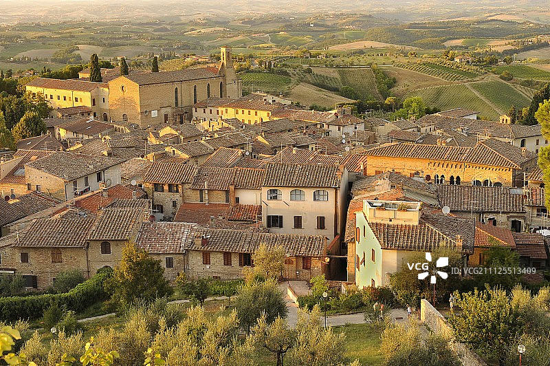 托斯卡纳圣吉米尼亚诺葡萄藤图片素材