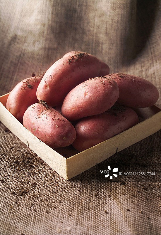 玫瑰val土豆图片素材