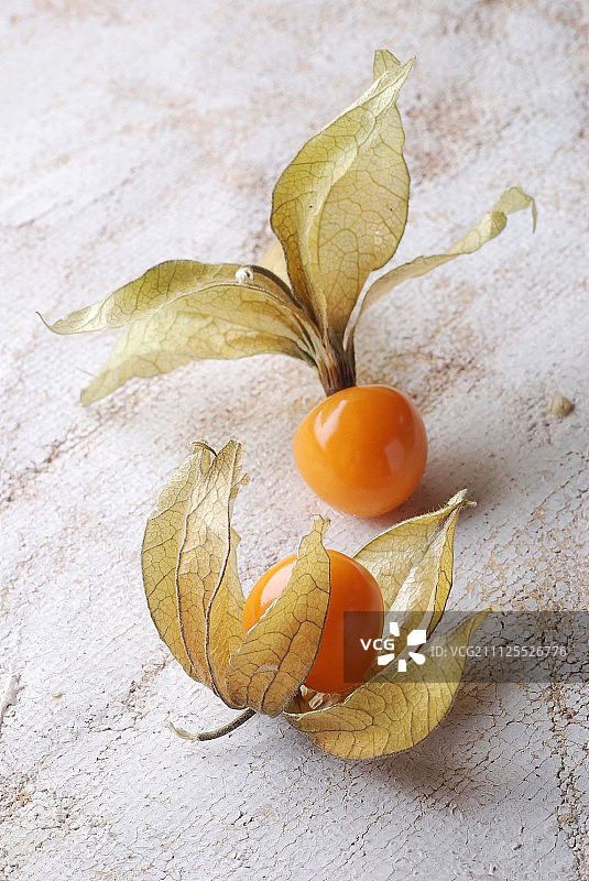 酸浆属图片素材