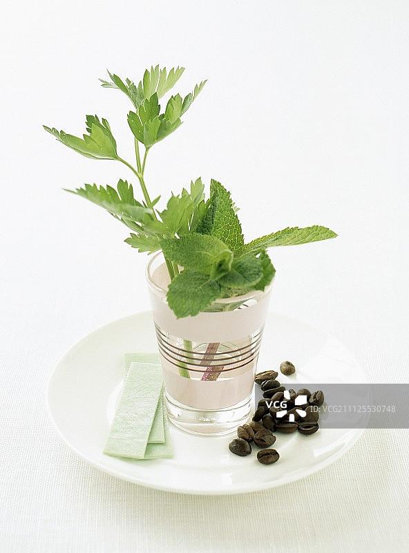 口香糖、薄荷、雪维菜和咖啡豆图片素材