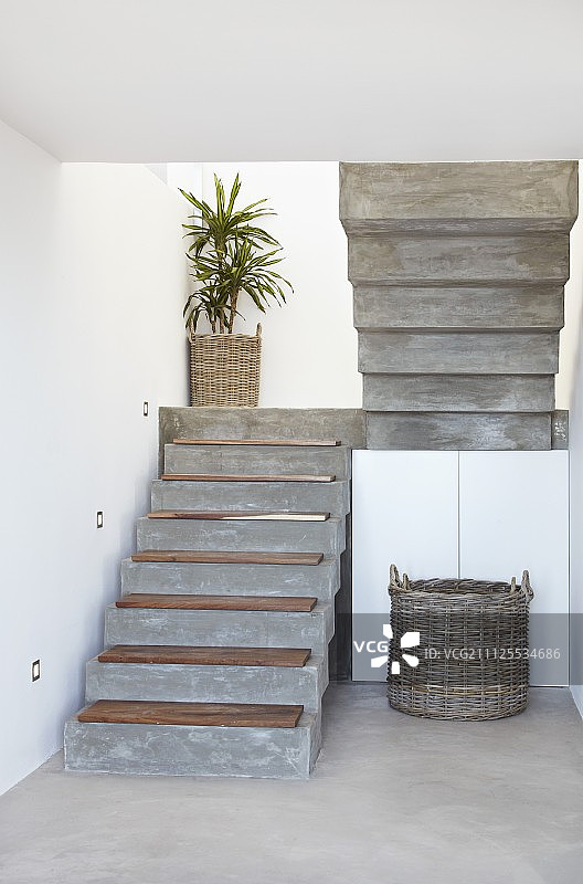 木质踏板混凝土楼梯与盆栽棕榈图片素材