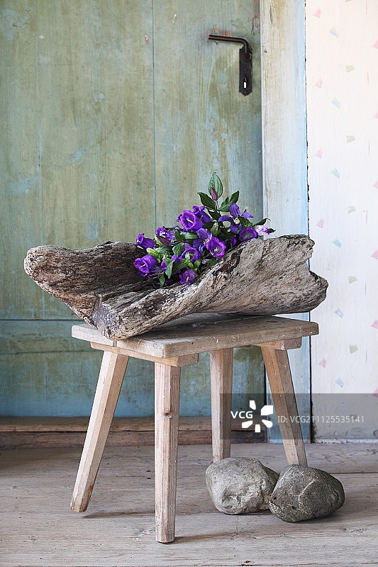 铁线莲和风铃草：复古氛围中的木制凳子花艺图片素材