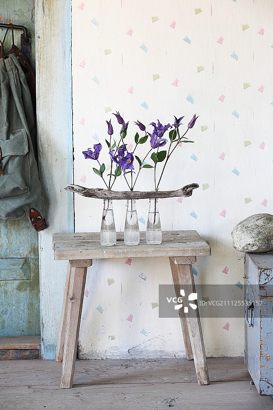 复古氛围中木凳上排列的玻璃瓶和浮木中的铁线莲花图片素材