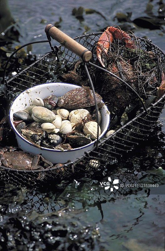 海鲜篮子图片素材