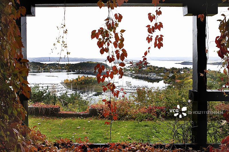 透过覆盖着攀缘植物的阳台柱子看挪威海岸的秋季花园图片素材