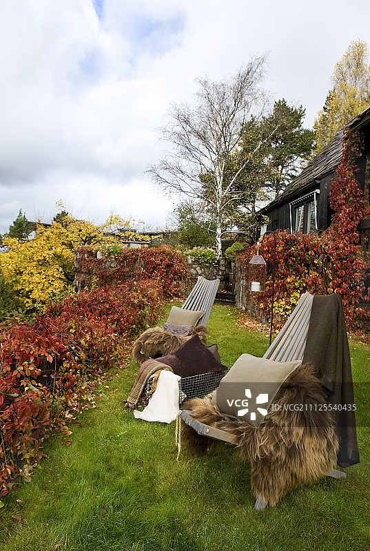 花园里被秋叶环绕的两把带有温暖毛皮毯子和靠垫的椅子图片素材