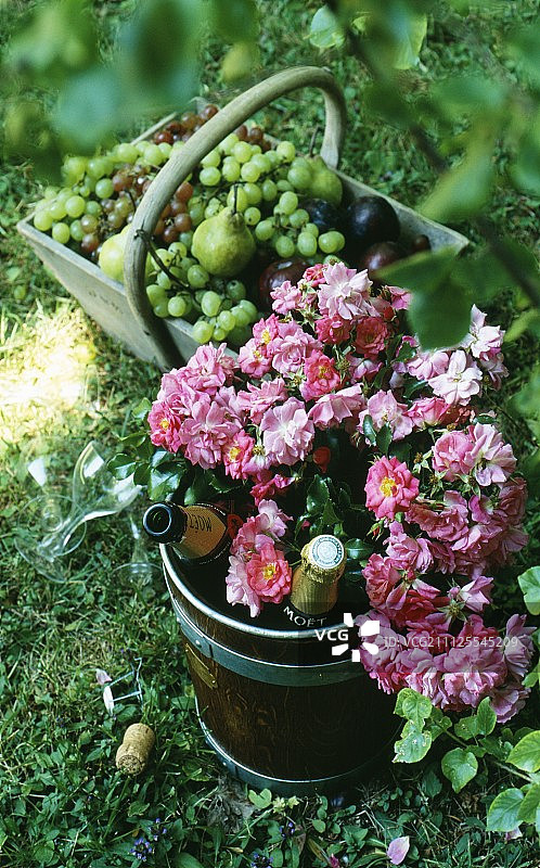 乡村香槟图片素材