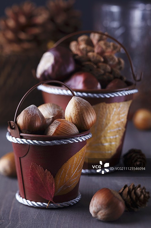 彩绘秋叶装饰小桶与坚果松果图片素材