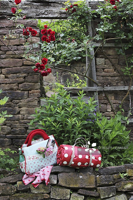 卷起的红白波点野餐毯和鲜花野餐包，背景是带有红色玫瑰丛的颓垣断壁石墙图片素材
