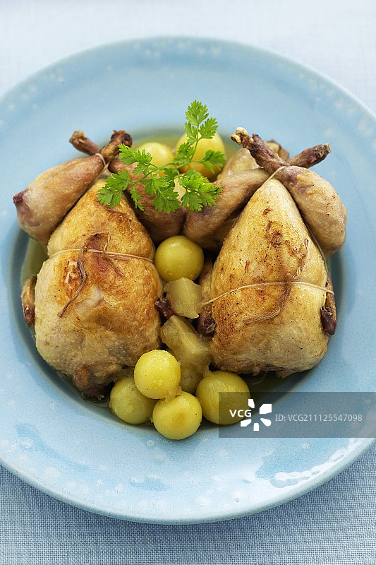 葡萄鹌鹑图片素材