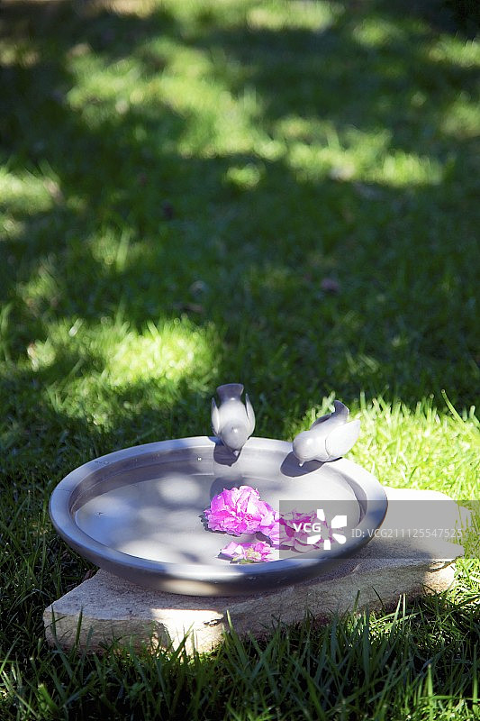漂浮在鸟浴盆中的花朵与花园中的两个小鸟雕像图片素材