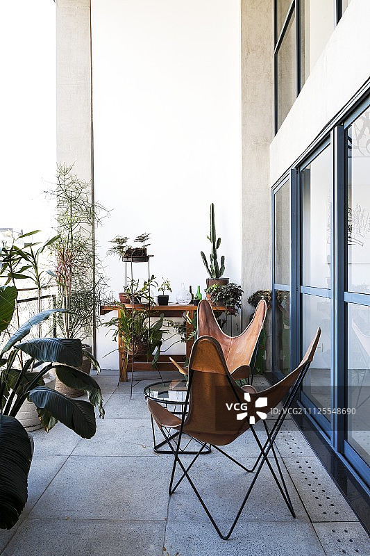 混凝土阳台上的皮革蝴蝶椅和热带植物图片素材