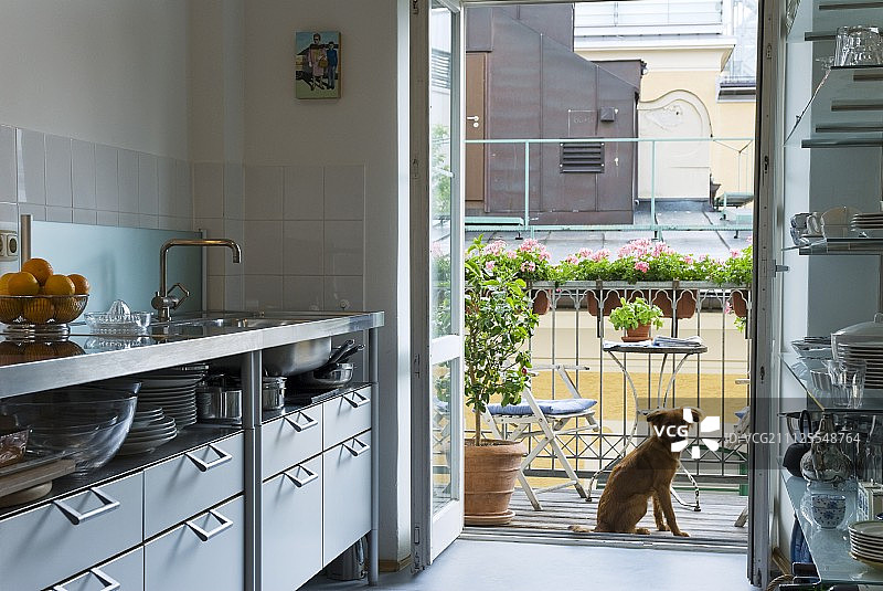 带有通往阳台的敞开式门的厨房；狗坐在带有花箱的栏杆前图片素材