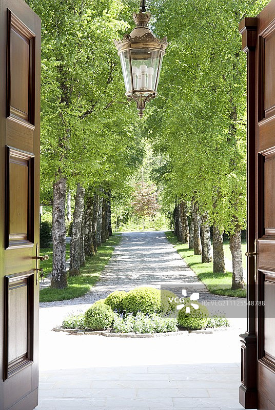 透过双开前门看到的黄杨树和通往林荫大道的车道图片素材