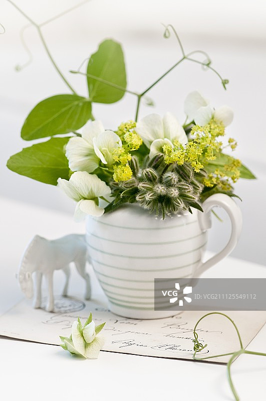 牛奶罐中少量斗篷草、琉璃苣和糖 snap豆花束图片素材