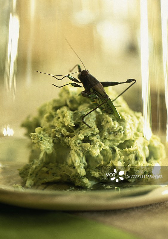 罗勒黄油图片素材