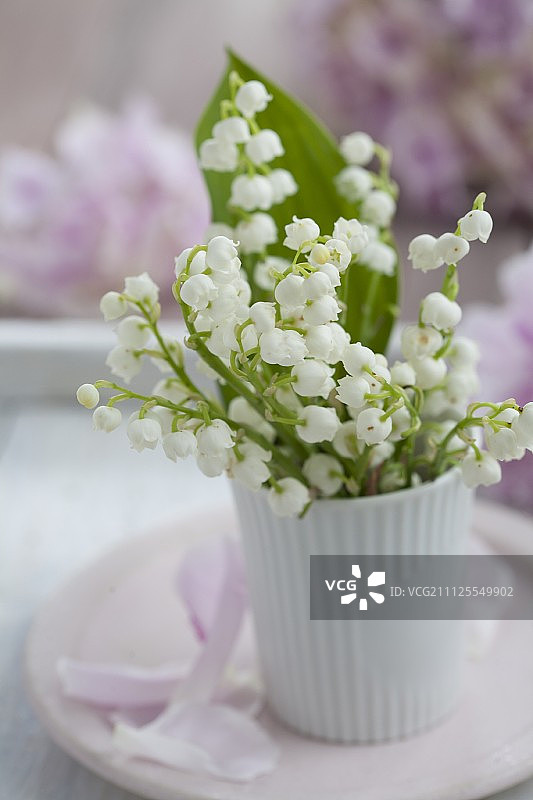 白色烧杯中的铃兰图片素材